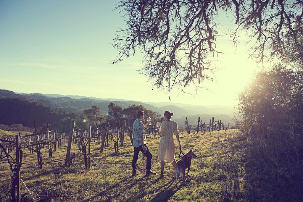 Emma and Jesse walking through their vineyard with their dog